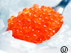 Coho Caviar Premium Kosher 250g