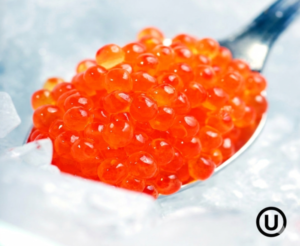 Coho Caviar Premium Kosher 250g