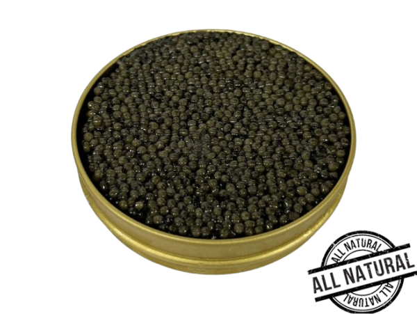 Black Caviar Ossetra "Russian Sturgeon"